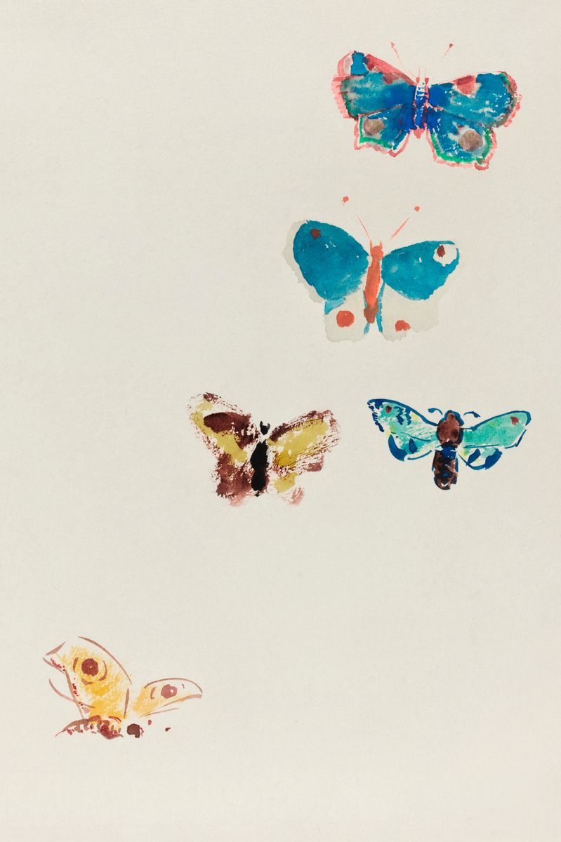 Flutter Study