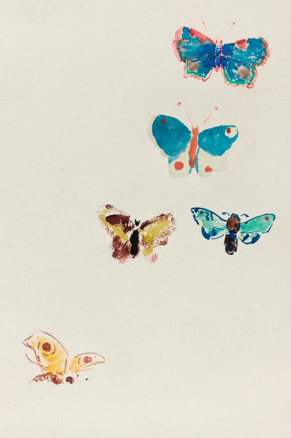 Flutter Study