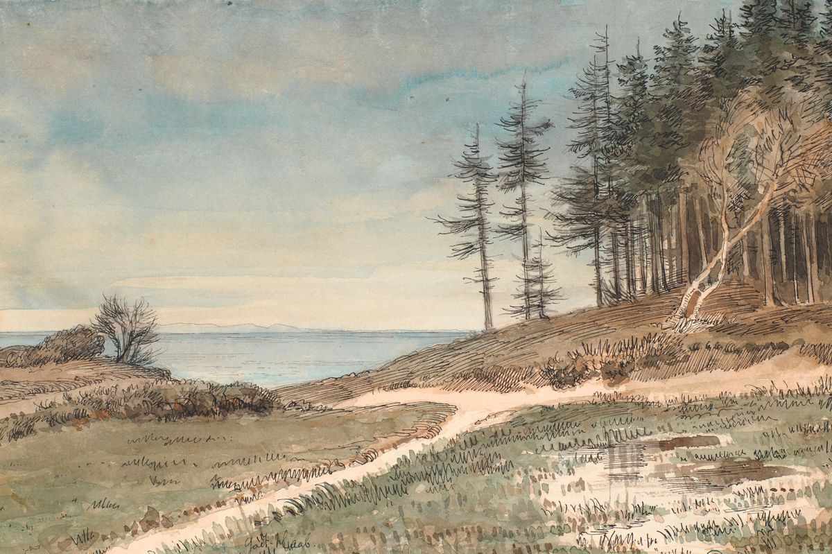 Shore Path