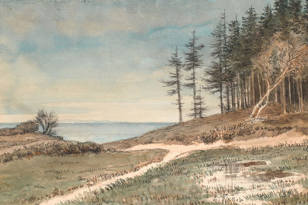 Shore Path