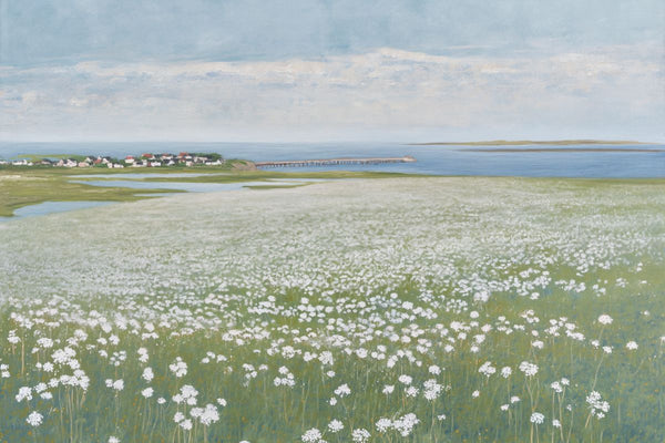 White Meadow
