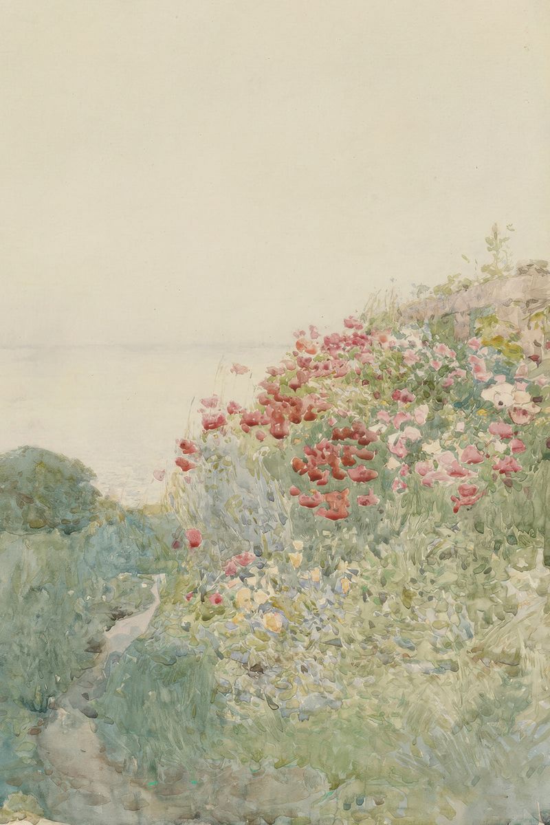 Poppy Shore