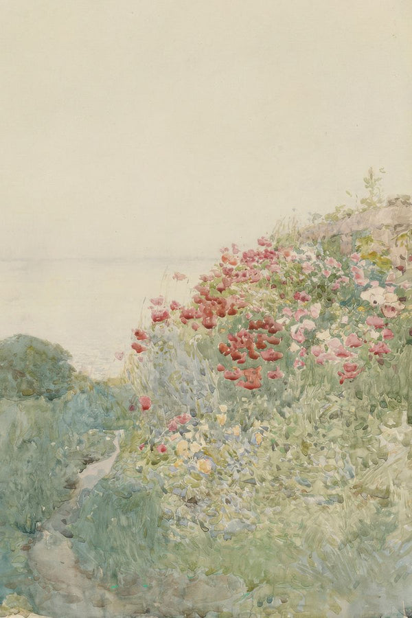 Poppy Shore