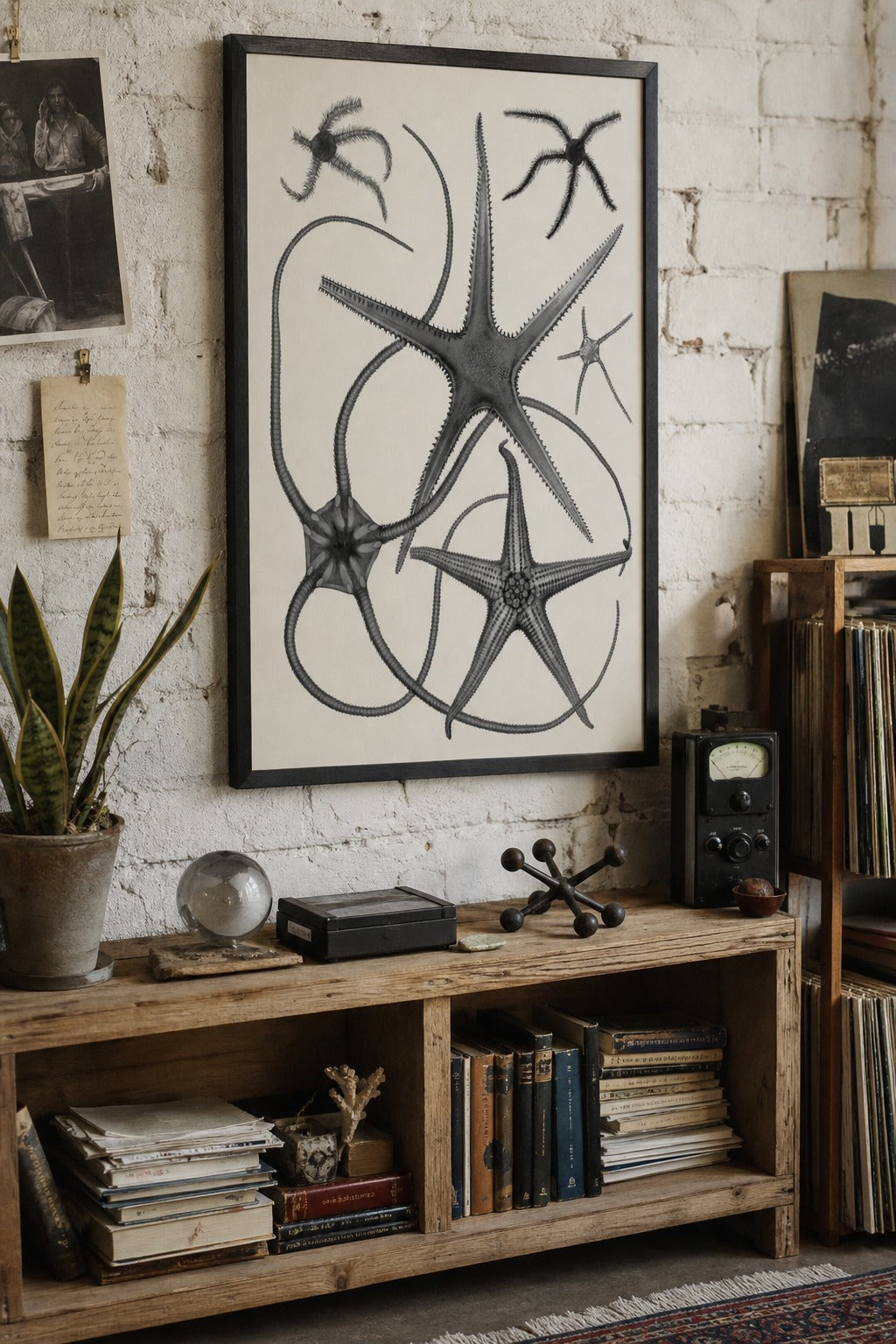 Brittle Stars art print, close-up detail view