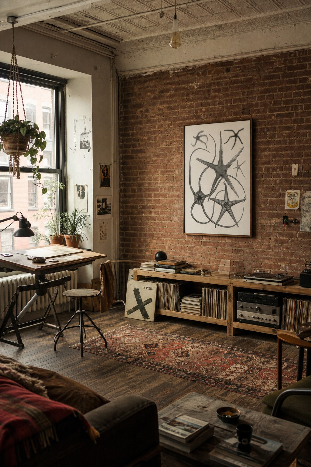 Brittle Stars art print displayed in a modern interior