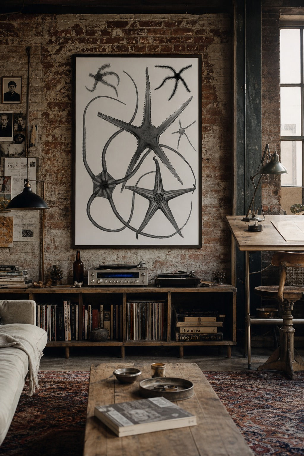 Brittle Stars art print shown to scale on a wall