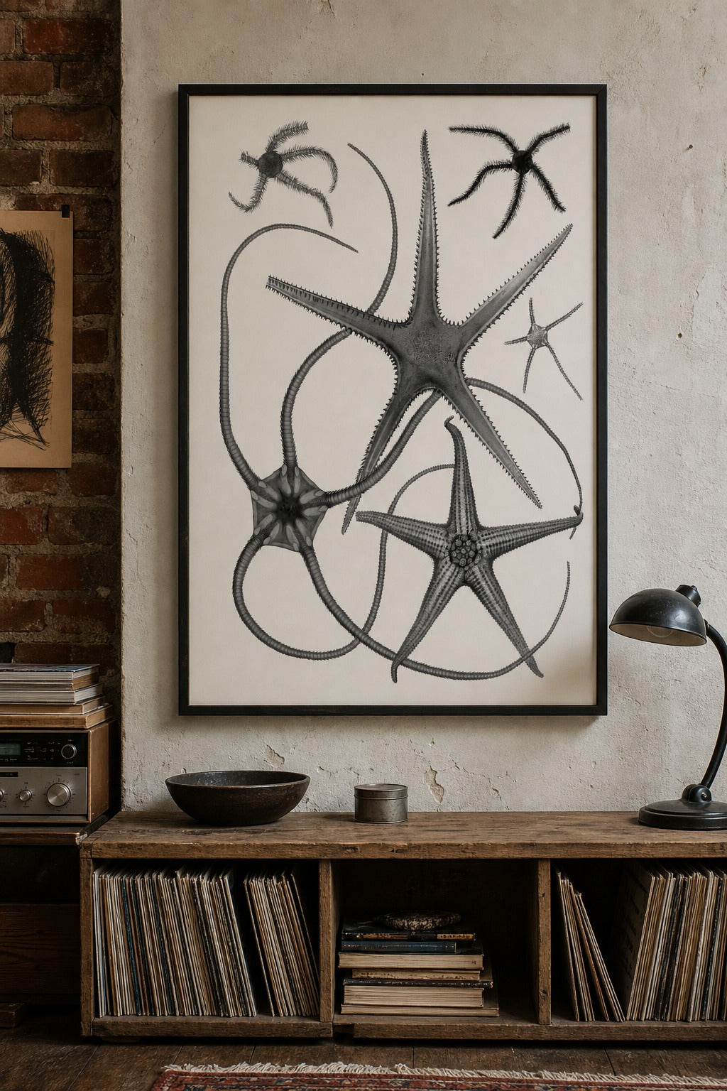 Brittle Stars art print on white background