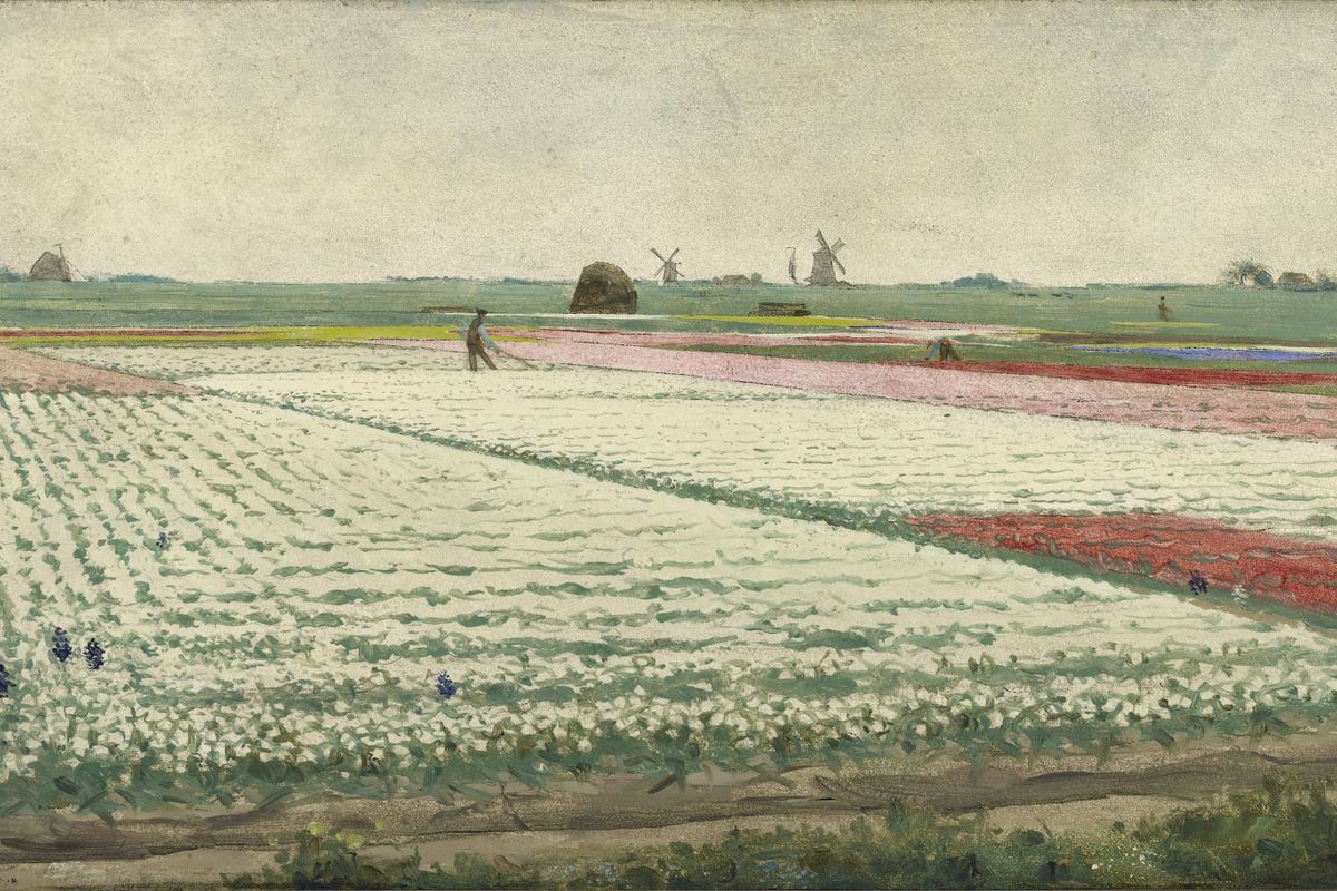 A flat Dutch tulip field with rows of white, pink, and red flowers, farm workers, and windmills on the horizon under an overc