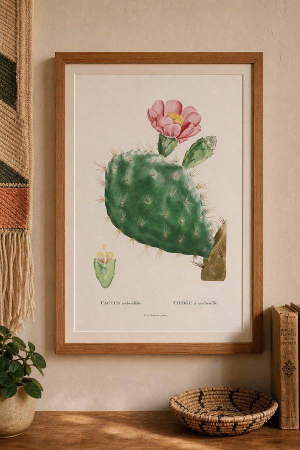Cochenille art print on white background