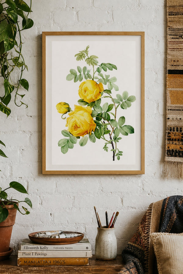 Cowslip Rose art print on white background