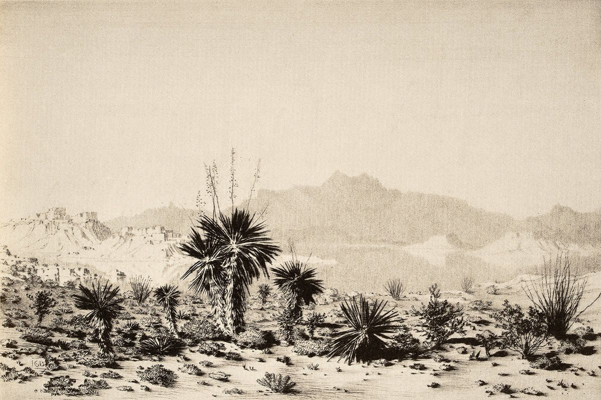 A pencil or ink etching of a Chihuahuan or Sonoran desert scene with yucca plants in the foreground and mountains in the dist