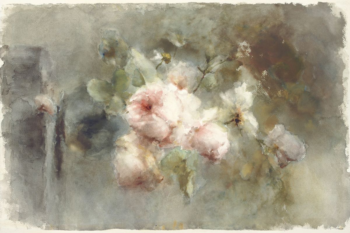 A loose watercolor spray of pale pink and white garden roses with green leaves on a smoky grey background.