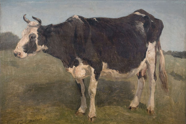 A black-and-white horned dairy cow stands in a grassy field against a pale blue-gray sky.