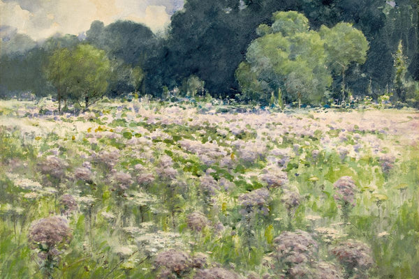 A watercolor painting of a wildflower meadow filled with pale purple blooms, backed by a dense row of tall green trees under