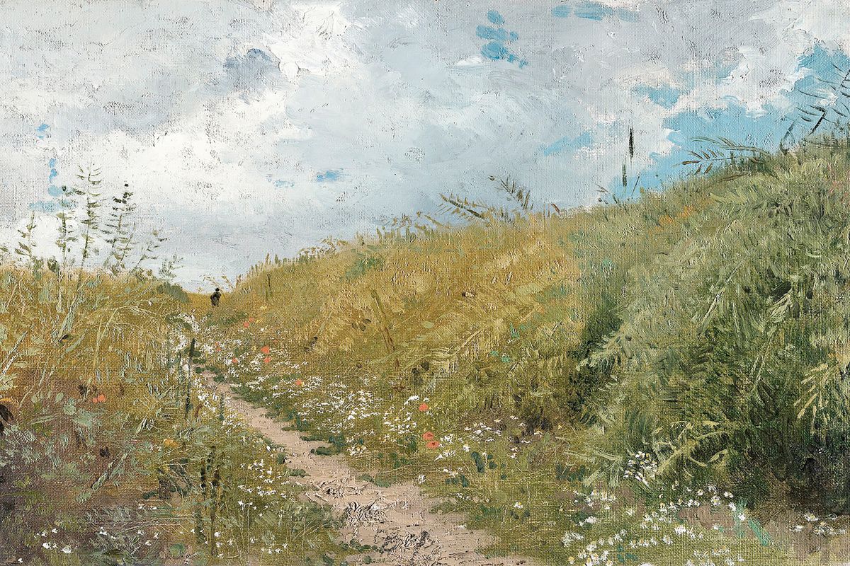 A dirt path through a wildflower meadow with tall grasses and a small lone figure in the middle distance beneath a cloudy sum