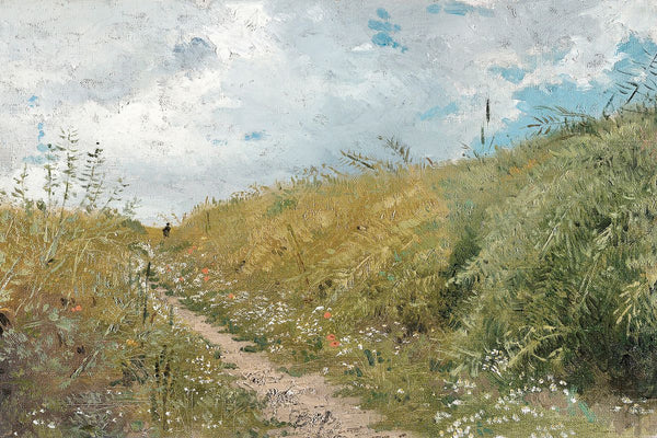 A dirt path through a wildflower meadow with tall grasses and a small lone figure in the middle distance beneath a cloudy sum
