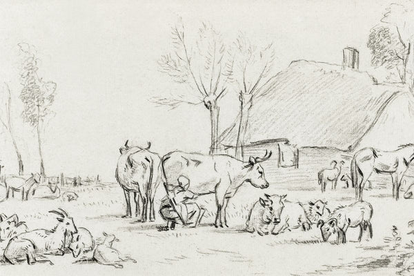 A pencil or charcoal sketch of cows, goats, and a figure milking in a farmyard with bare trees and a thatched building in the