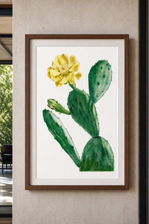 Nopal art print on white background