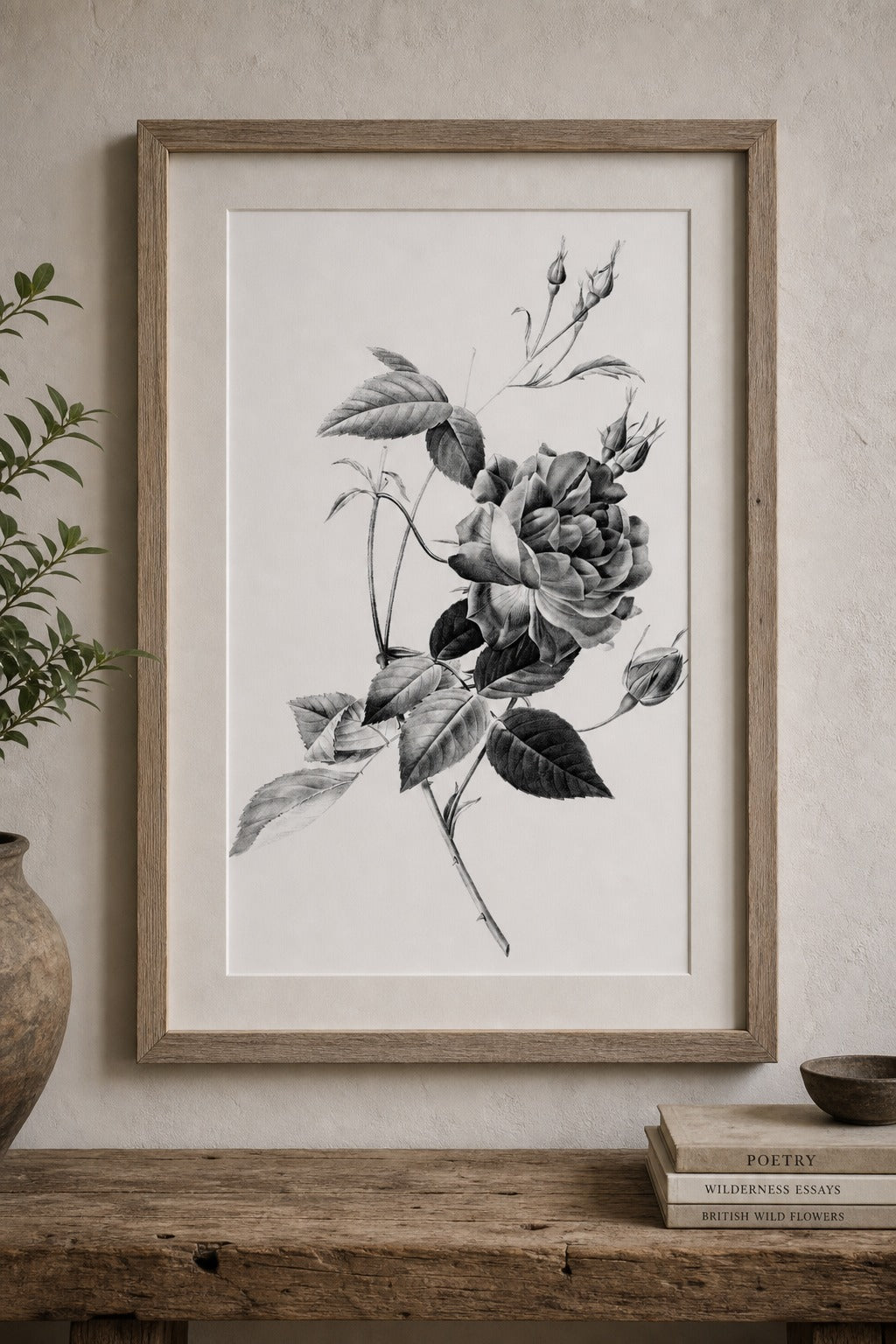 Old Rose art print on white background