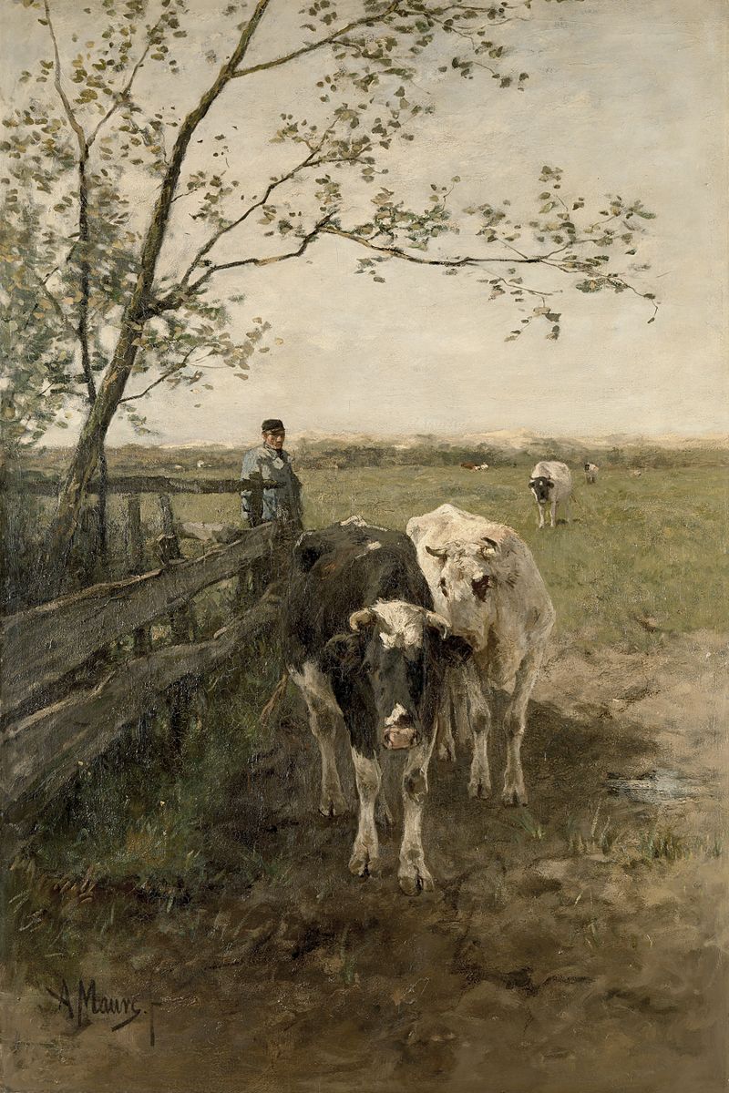 Two cows and a herdsman beside a wooden fence in a flat Dutch pasture, with additional cattle grazing in the background.