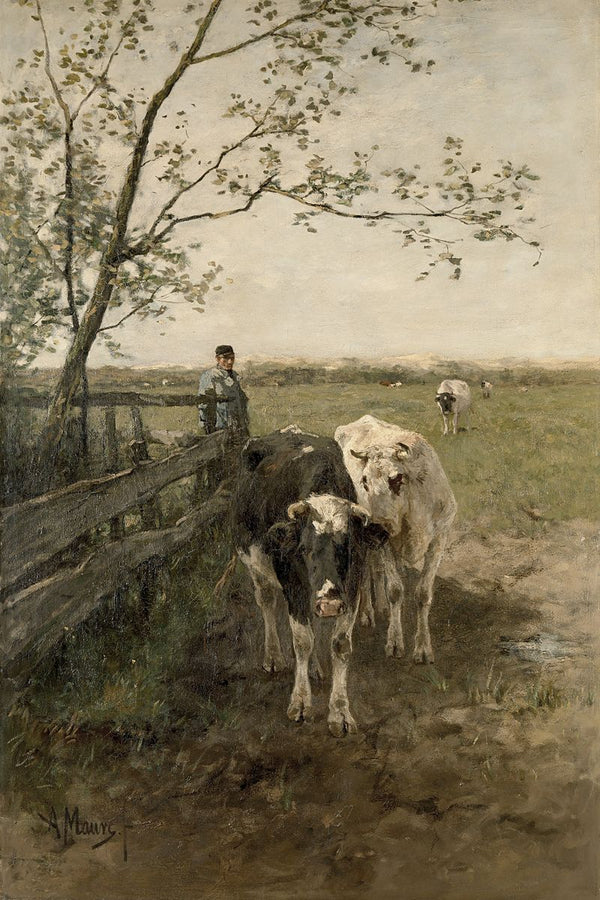Two cows and a herdsman beside a wooden fence in a flat Dutch pasture, with additional cattle grazing in the background.