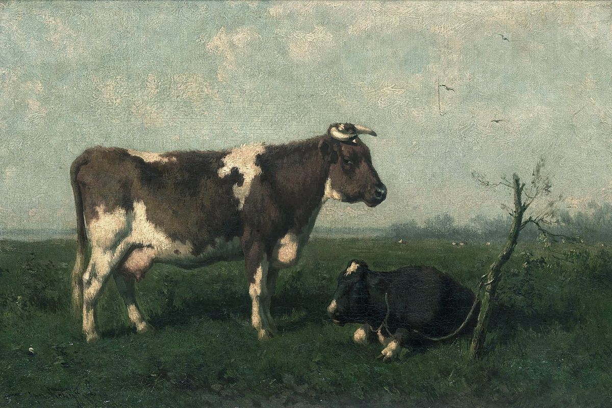 Two cows, one standing brown-and-white and one lying black, in a flat green pasture under a cloudy sky.