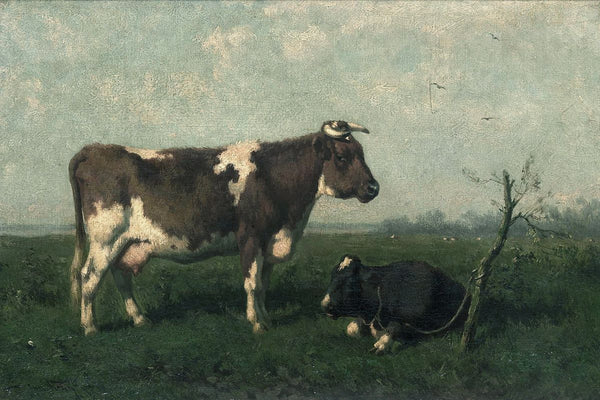 Two cows, one standing brown-and-white and one lying black, in a flat green pasture under a cloudy sky.