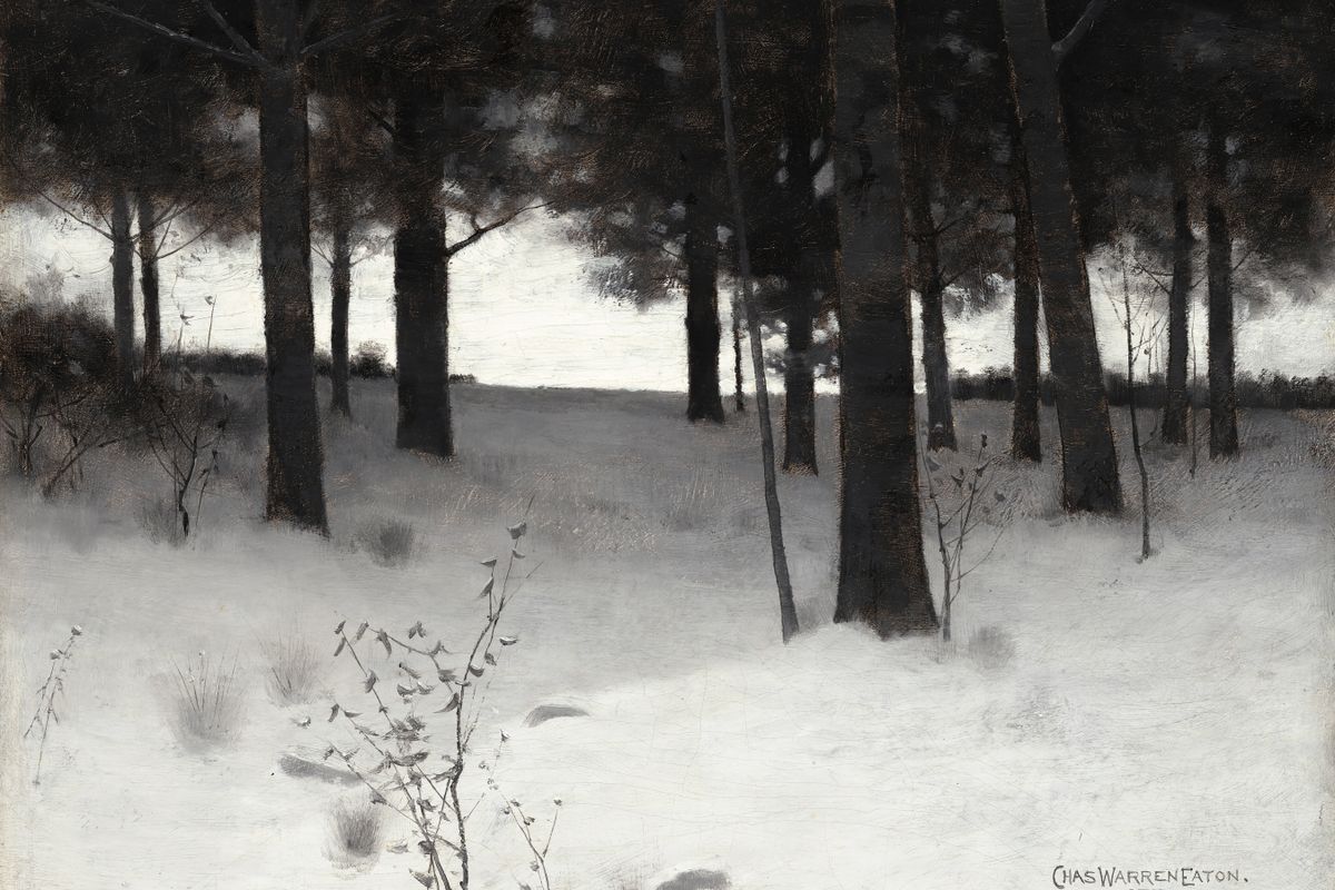 A winter forest scene with dark pine trunks framing a glowing pale horizon over snow-covered ground, with dormant shrubs in t