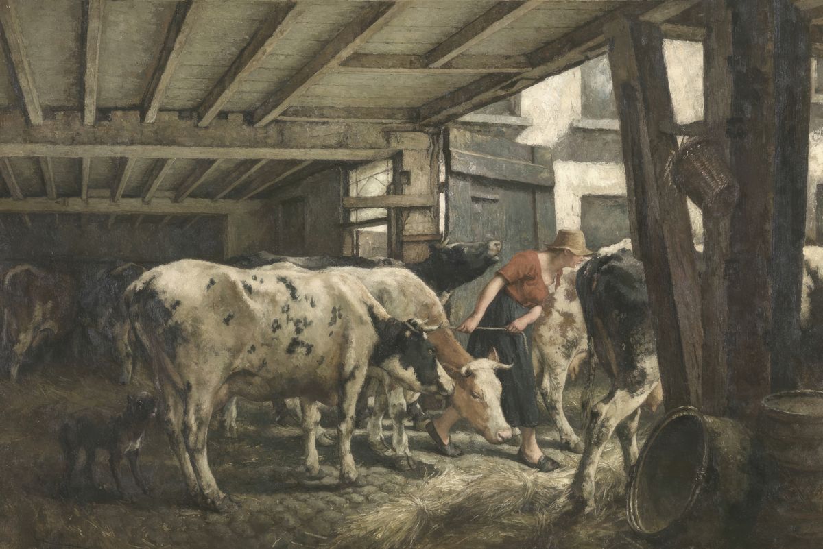 A farmhand leads cattle through the interior of a wooden barn filled with hay, with daylight visible through the back opening