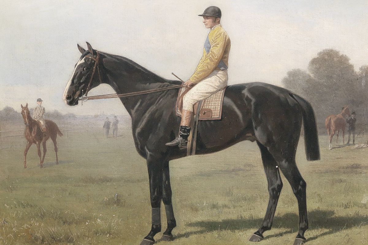 A dark bay racehorse with a jockey in yellow silks stands in profile on a grass racecourse, with other horses and figures in