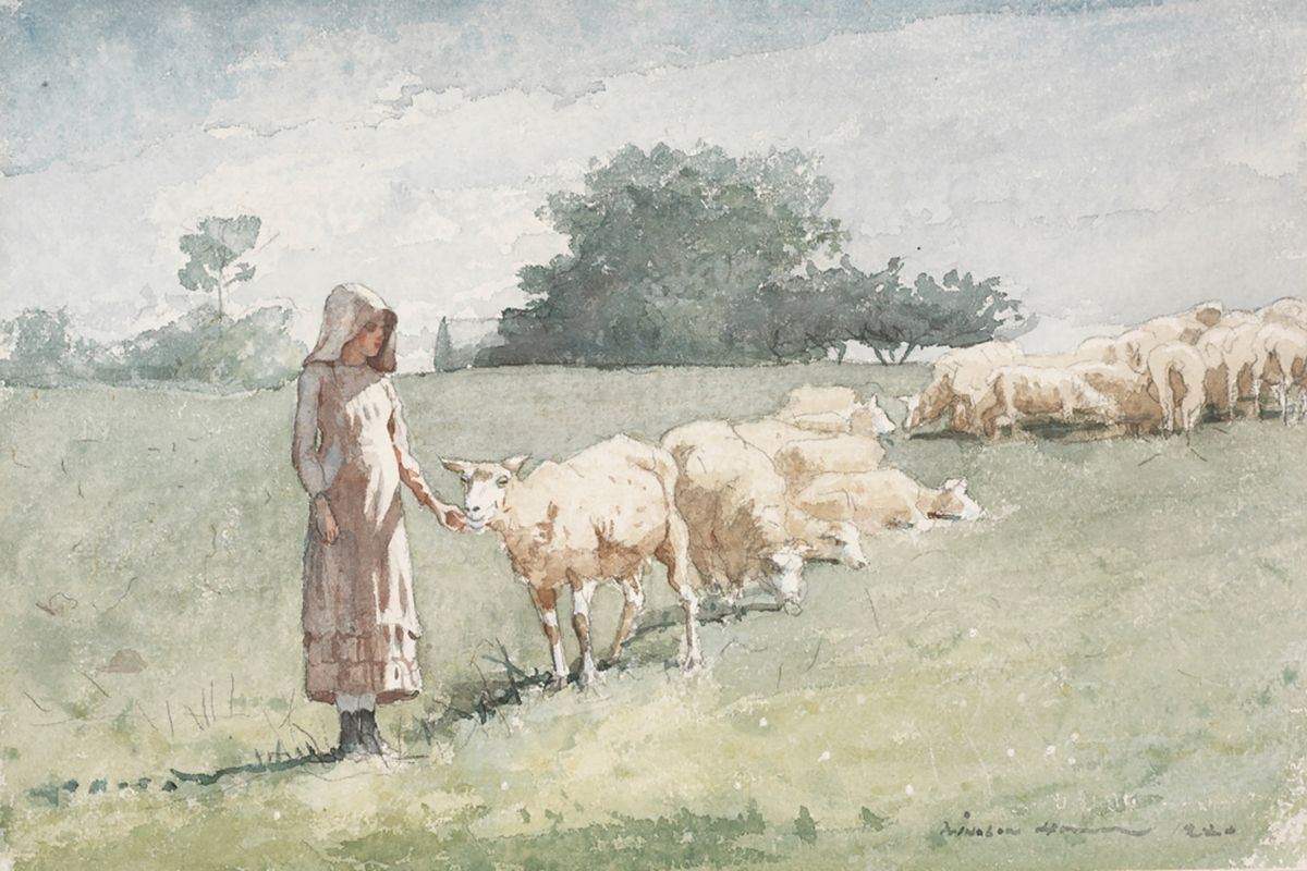 A young woman in a bonnet feeds a lamb by hand in a green field while a flock of sheep grazes behind her.