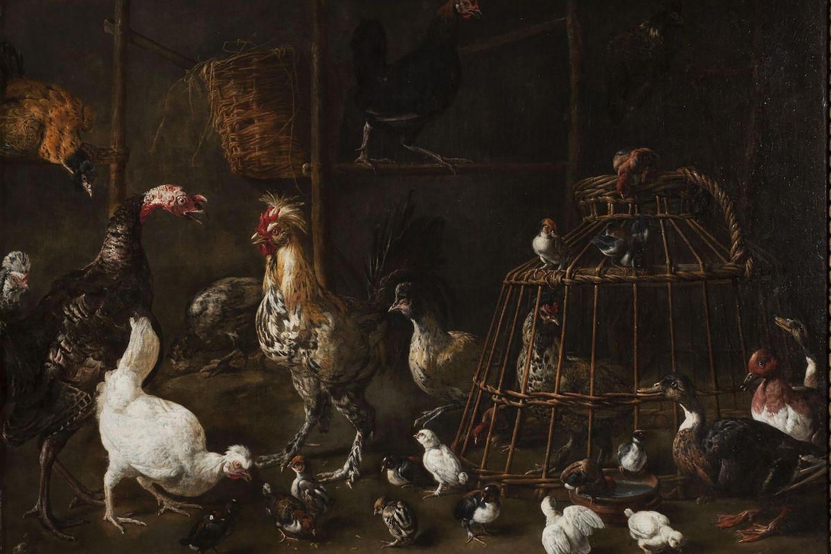 A Dutch Baroque-style oil painting of numerous chickens, a rooster, a turkey, pigeons, ducks, and chicks crowded inside a dar