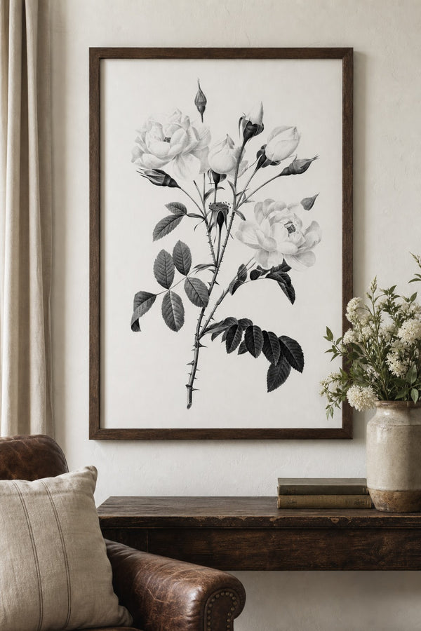 White Rose art print on white background