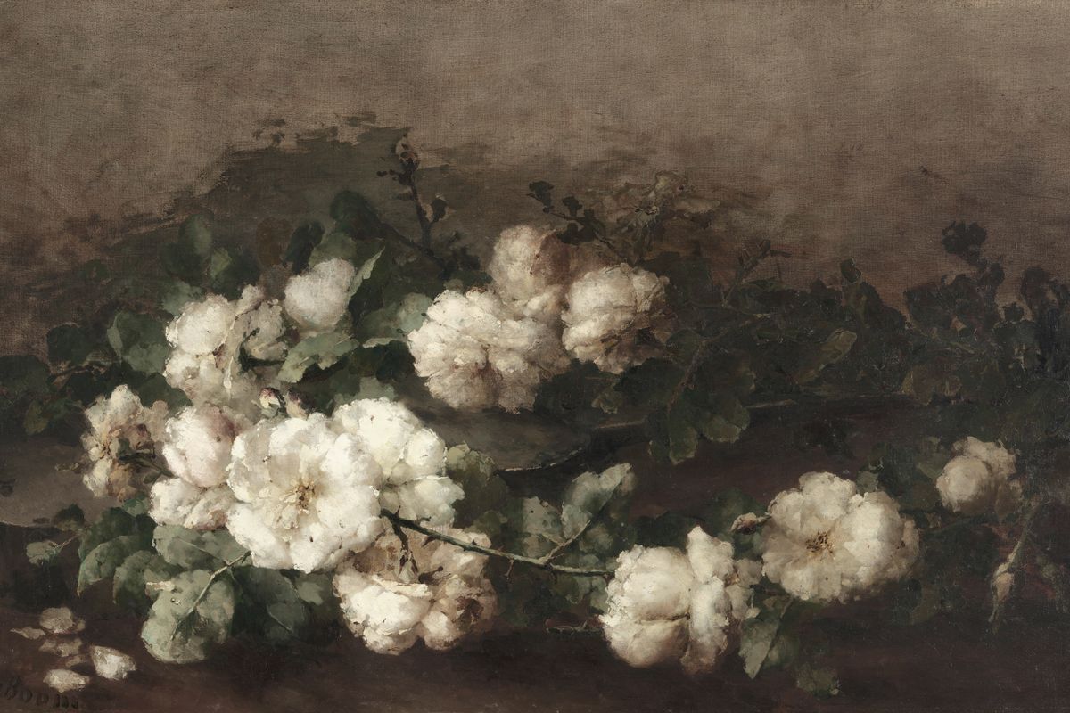 Multiple cut rose branches with white blooms and dark green leaves lying on a dark surface against a gray-brown painted backg